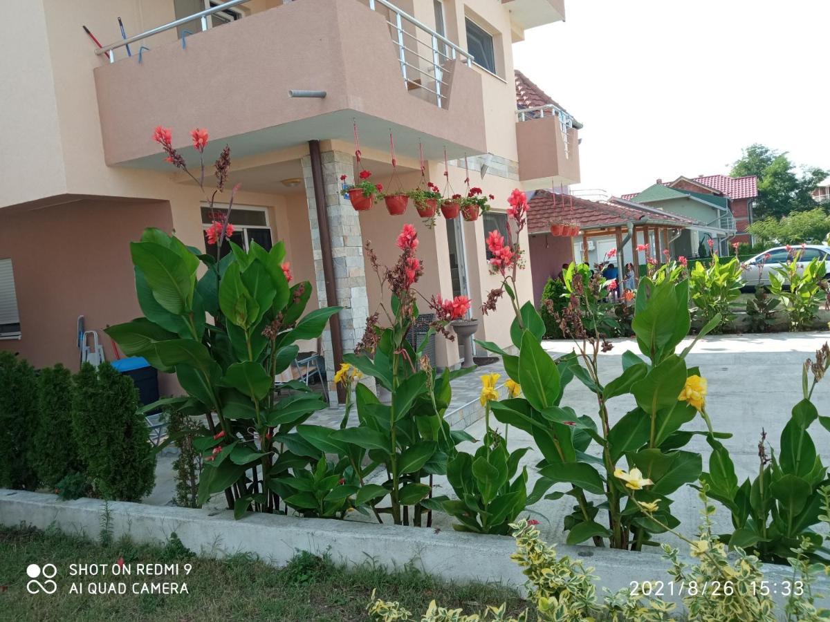 Ferienwohnung Smestaj Lux Veliko Gradište Exterior foto